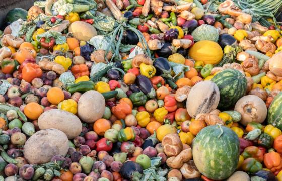 StopFoodWasteDay1